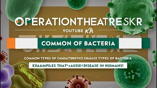 Common Type Of Bacteria  Characteristics  Bacteria Disease Causing Human Being [upl. by Wesla]