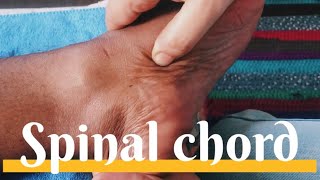 Reflexology for Spinal problemsSokushindo 🦶 [upl. by Ueihtam]