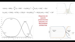 Aplicación de los diagramas de especiación en la Metalurgia Extractivaleaching chemistry unam [upl. by Gascony]