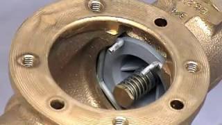 Flomatic DCVE 34quot  2quot Backflow Repair Video [upl. by Adniram730]