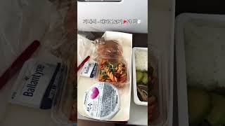 아시아나항공🇰🇷 오키나와🇯🇵🏝️가는 기내식🍽️은 뭐가 나올까❓  Okinawa Asiana airlines✈️ flight meal [upl. by Cave637]