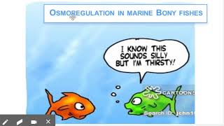 Osmoregulation in marine fishes Lec 6 [upl. by Htes]