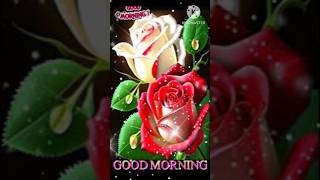 GOOD MORNING video [upl. by Lurline]