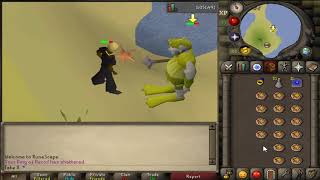 Level 3 OSRS How to killgrind Mogres THE EASIEST WAY GUIDE Read Description [upl. by Thurnau]