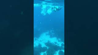 🐠снорклинг на Пхукете какой он 🤿Snorkeling in Phuket what is it like 🪸 [upl. by Longmire]