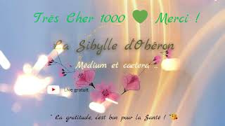 Merci 💚 [upl. by Yrrag]