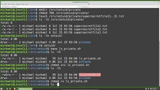 Linux Command Line 25 setuid [upl. by Nuahsal276]