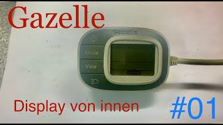 Gazelle Innergy Ebike Display Platinen Ausbau und Erklärung [upl. by Alimat]