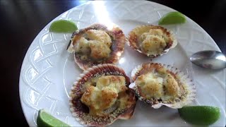 Conchitas a la Parmesana Muy sencillo para principiantes [upl. by Arratahs]