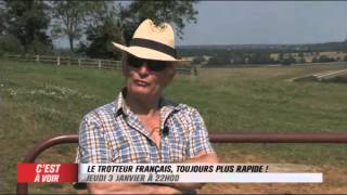 EXTRAIT  Le trotteur français toujours plus rapide  Equidia Live [upl. by Sidky]