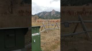 Chautauqua hiketravel hiking colorado foryou fypシ゚viral fyp nature mountains scenicthrill [upl. by Roselle]