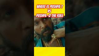 pushpa2 The Rule explained  Last Me Blast karne wala Pushpa hi   shorts [upl. by Nilrac]