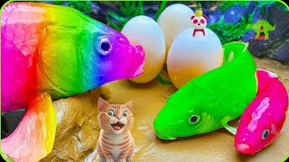 🐠🐟🫒🌽🍎🍓🍋🍊🥭Stop motion ASMR  Catfish huntingColorful carp koi fish 🐠🐟 [upl. by Aoht]