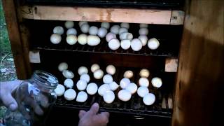 Smoked Hard Boiled Eggs How To [upl. by Enneire]