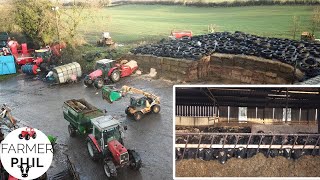 FEEDING THE 500  WHAT WE FEED OUR CATTLE [upl. by Pennebaker]