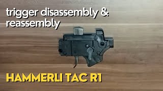 Hammerli Tac R1 22  Trigger Disassembly [upl. by Nnaylime]