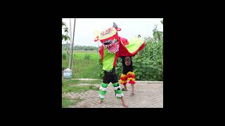 BARONGAN SAPI MERAH BERGABUNG SAMA BARONGAN LABUBU IJO [upl. by Erdnassac]