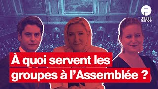 À quoi servent les groupes à lAssemblée nationale [upl. by Lipp]