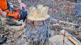 Chainsaw Carpenter Carves Stump Tables [upl. by Amelina278]