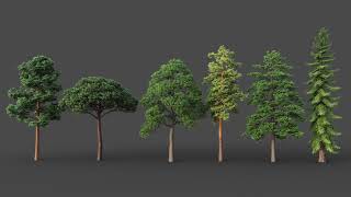 Test of Pines with wind animation in GrowFX  3ds Max [upl. by Eeliab]