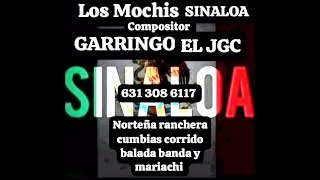 el corrido de Martin morales garringo el jgc [upl. by Suzzy956]