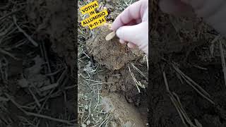 VOTIVA IN ALLUMINIO NEL CAMPO DELLARTIGLIERE 9112024 metaldetecting mrghorn metaldetector [upl. by Aneed499]