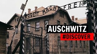 AUSCHWITZ raconté par trois déportés DISCOVER [upl. by Duax306]