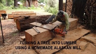 Turning a tree into lumber using a homemade Alaskan Mill [upl. by Maighdlin]