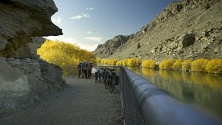 Roxburgh Gorge Cycle Trail  Cycle Central Otago  New Zealand [upl. by Rufus]