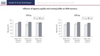 Success factors for gel extraction [upl. by Sosthina308]