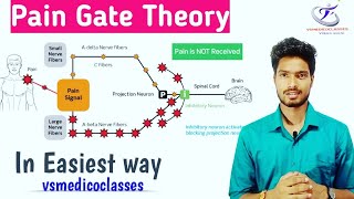 pain gate theory gate control of pain pain gate theory physiotherapy pain gate theory vikas siani [upl. by Llewen530]