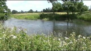 DORSET STOUR LITTLE CANFORD DORSET [upl. by Anitsirhc]