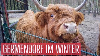 Kurzer Familienausflug Tier und Freizeitpark Germendorf im Winter 🦓🐐☃️ [upl. by Cila395]