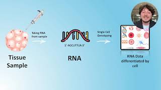 The revolutionary use of AI Deep Think in single cell RNA genotyping [upl. by Assen586]