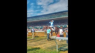 2018 Woodford Stakes  Gr 2 Win [upl. by Turley615]