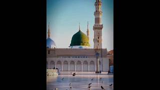 Madina Sharif trending viralshort youtubesearch shortsfeed automobile [upl. by Adelind900]