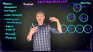 Meiosis Process and Terminology [upl. by Troyes]