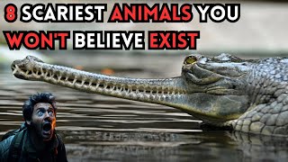 😱😱THE 8 SCARIEST ANIMALS IN THE WORLD [upl. by Ssej]