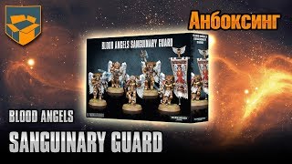 Анбоксинг  Blood Angels Sanguinary Guard [upl. by Nylarej]