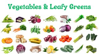 Vegetable Varieties  Leafy Green Vegetable Names with Pictures  Vegetables Vocabulary vegetables [upl. by Alberic]