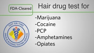 Hair testing for drugs [upl. by Remas]