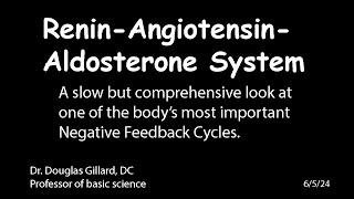 ReninAngiotensinAldosterone System for Beginners [upl. by Eedahs]