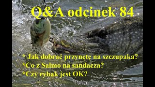 QampA odcinek 84  przynęty na szczupaka Salmo na sandacza rybacy [upl. by Nylcsoj]