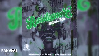 01 Caltonic SA Perspectiv Soul amp De Soul  Amandla feat NATASHA MD [upl. by Purvis]