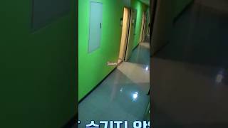 I think hes looking for me😋😂shortfeed kpop song pop music [upl. by Asilegna263]