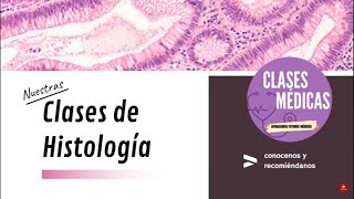 HISTOLOGÍA DEL TEJIDO EPITELIAL SEGUNDA PARTE [upl. by Finn]