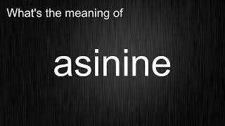 Whats the meaning of quotasininequot How to pronounce asinine [upl. by Anrahs]