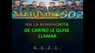 MARIMBA 502 CUMBIA DE LA BORRACHITA KARAOKE [upl. by Isyed]