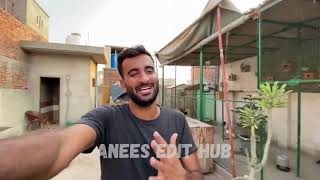 First Time Bht Sari New Fishes Le Kr Ae 🎉😍 Shehr Main Dihat Mini Vlog ❤️ shehrmaindihat [upl. by Kraft668]