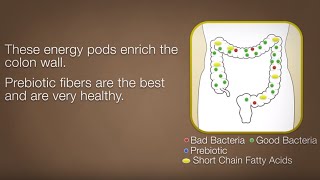 Ulcerative Colitis Management amp Prebiotics [upl. by Mure636]